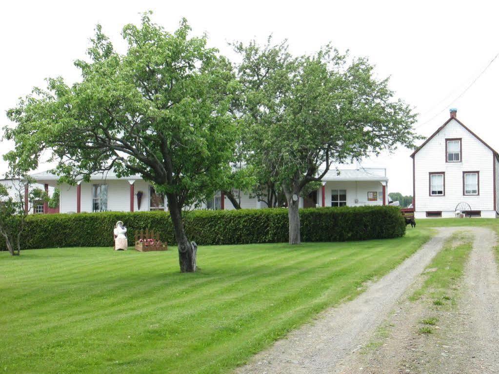 Gite Les Acres Tranquilles B&B Port-Daniel Exterior foto